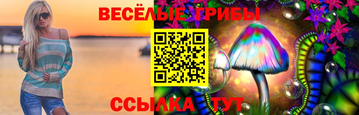 Черняховск  Псилоцибиновые грибы Cubensis  Вход с VPN 